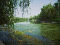 -东坝千亩湖公园
