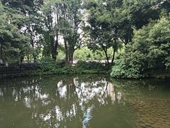 -成都市活水公园