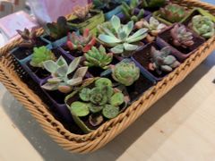 -星巴克(深圳平安金融中心B1店)