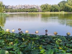 -陶然亭公园