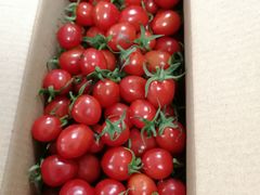 -彤德莱火锅(乐陵路店)