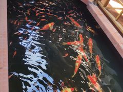 -侠成水上农庄(工业大道店)