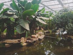 -南通洲际绿博园