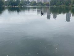 -武汉动物园