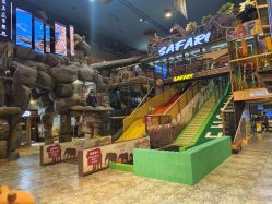 -卡通尼·Safari非洲探索乐园·生日会(金桥国际商业广场店)