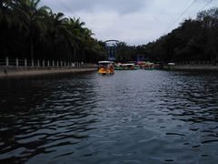 -广东茂名森林公园