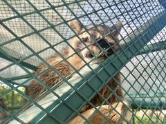 -水上乐园·欢乐世界