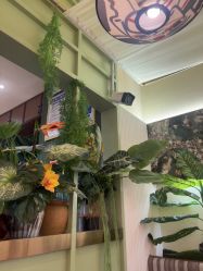 -深圳柏颜医疗美容诊所