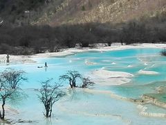 -黄龙山原始森林景区