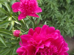 -长春公园(普阳街道)