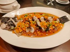 -杭州JW万豪酒店-万豪中餐厅