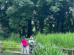 -成都市活水公园