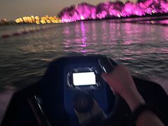 -金鸡湖桃花岛