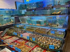水产区-青蓬海上捞蒸品海鲜城(海岸城店)