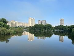 -凤池园
