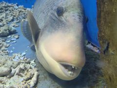 -泉城欧乐堡海洋极地世界