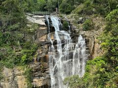 -海南热带雨林国家公园吊罗山景区