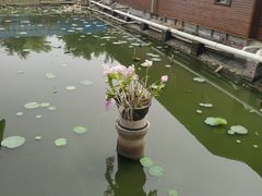 -翔雄农庄