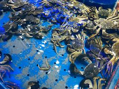 -澜悦港海鲜体验主题餐厅