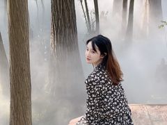 -东湖落雁景区