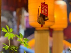 -叶叶菩提(太原别墅店)