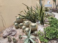 -正佳雨林生态植物园