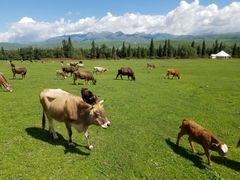 -新疆那拉提国家旅游度假区
