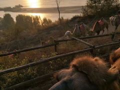 -古柏渡飞黄旅游区