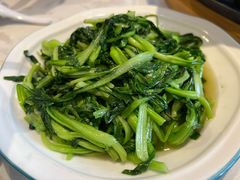 清炒棵白菜-不倒翁·安徽名菜楼(步行街店)
