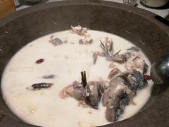 -鲜潭蒸汽石锅鱼(五道口购物中心店)