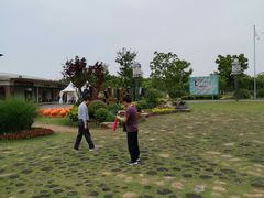 -上海长兴岛郊野公园