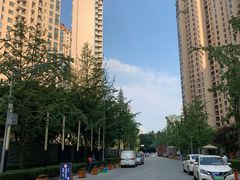 -仁恒滨河湾
