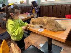 -猫小院猫主题餐厅(三里屯店)