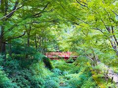 -三千院