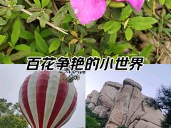 -金卉庄园