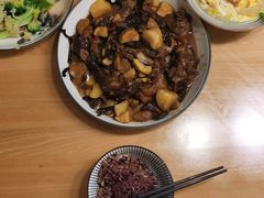 -天鹅到家·保姆月嫂育儿嫂(总店)