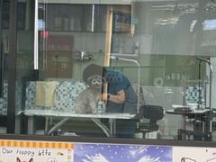 -全心全意动物诊疗中心医院(北苑店)