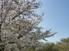 -龙美术馆(西岸馆)