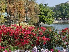 -荔湾湖公园