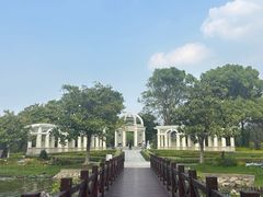 -上海鲜花港