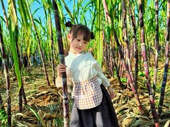 -汉长安城未央宫国家考古遗址公园