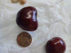 樱桃-北京清河镇农副产品交易市场中心