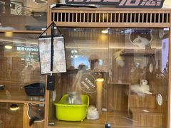 -宝龙城(杭州滨江店)