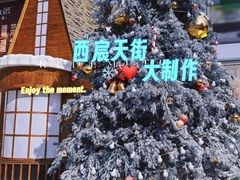 -首开·龙湖成都西宸天街