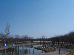 -东郊湿地公园