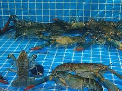 -三妹小龙虾·黄油蟹(华侨城总店)