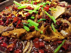 老板恋上鱼-老板恋上鱼(荣盛广场店)