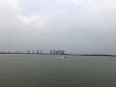 -瑶湖郊野森林公园