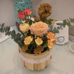 -保丽宝泰母婴护理院·月子中心·产康·中医(常州店)