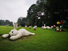 -保利石象湖景区